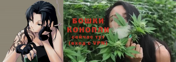 бошки Сатка