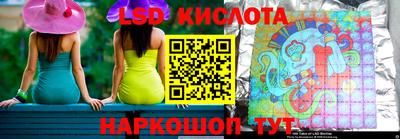 шишки Брянск