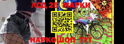 шишки Брянск