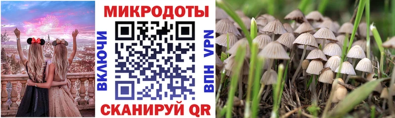 ссылка на мегу онион  Балтийск  Псилоцибиновые грибы мицелий 